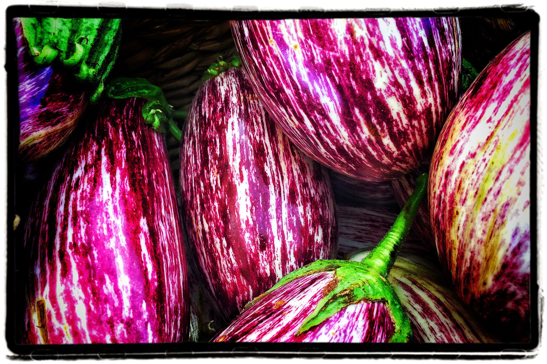 Farmers Market
